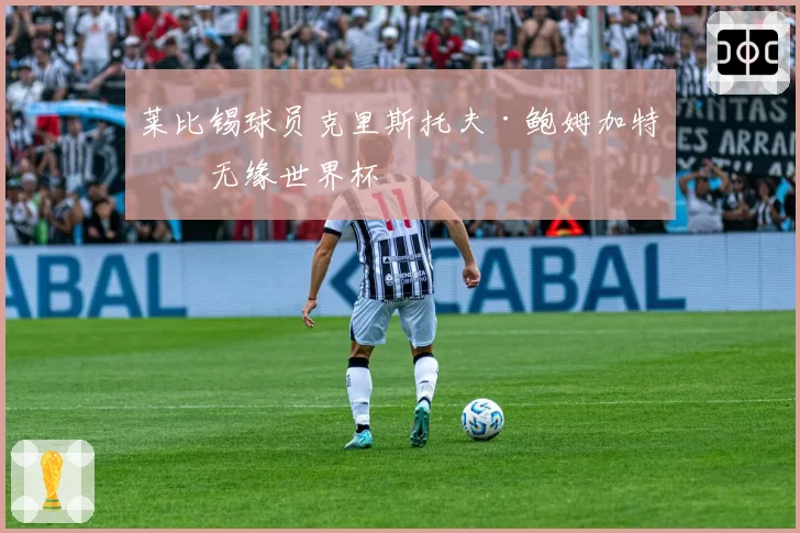 莱比锡球员克里斯托夫·鲍姆加特纳无缘世界杯