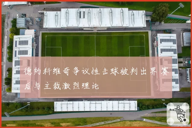 德约科维奇争议性击球被判出界 赛后与主裁激烈理论